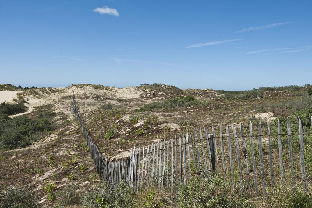 Evancy Etoile Des Dunes Bray-Dunes Dış mekan fotoğraf