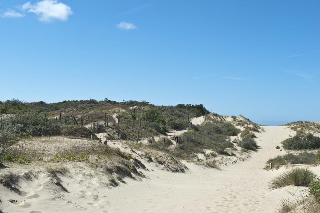 Evancy Etoile Des Dunes Bray-Dunes Dış mekan fotoğraf