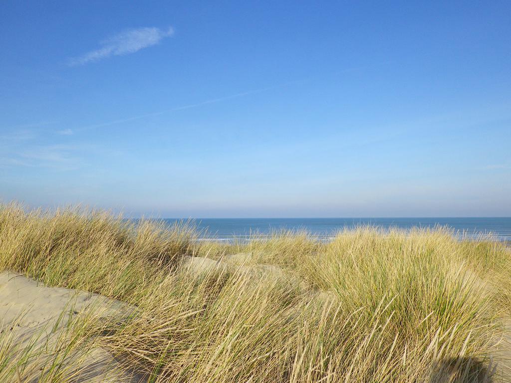 Evancy Etoile Des Dunes Bray-Dunes Dış mekan fotoğraf