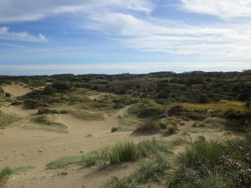 Evancy Etoile Des Dunes Bray-Dunes Dış mekan fotoğraf